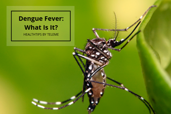 DENGUE FEVER: WHAT IS IT? - Healthtips by TeleMe