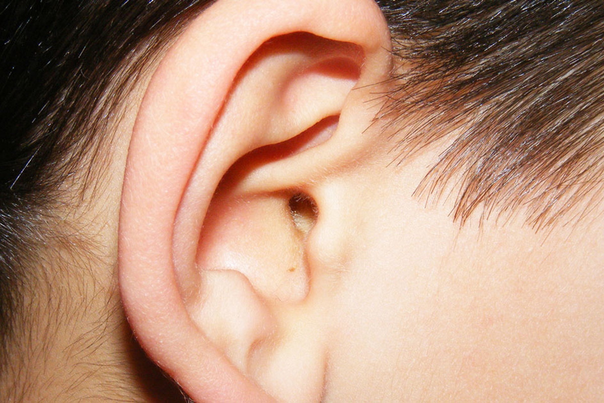  Ear Glue